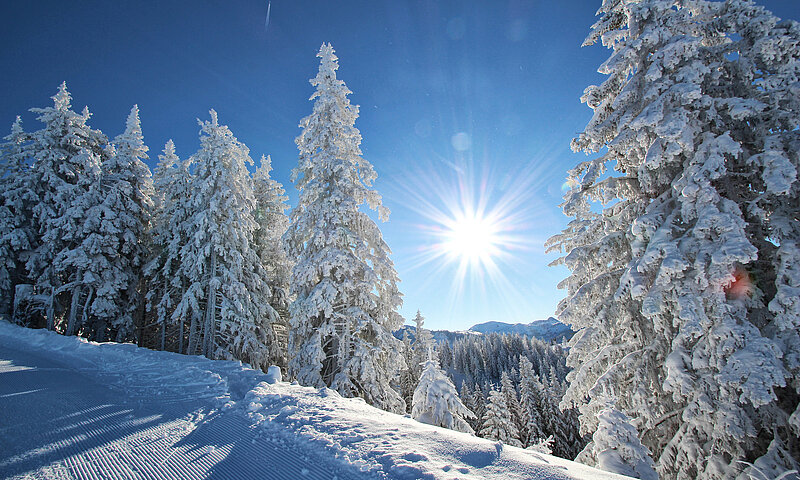 Skipiste in St. Johann in Pongau