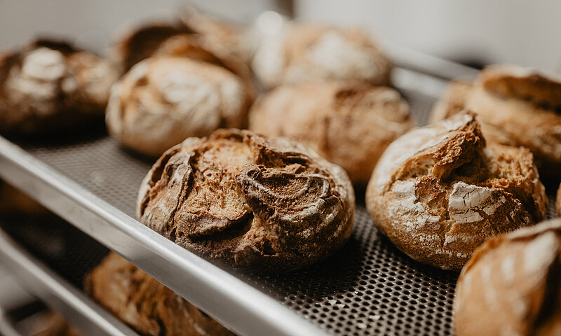 Frisch aufgebackene kleine Brotlaibe.