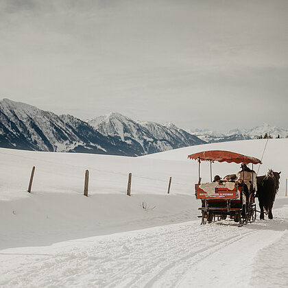 Eine Pferdekutschenfahrt inmitten einer wunderschönen Winterlandschaft.