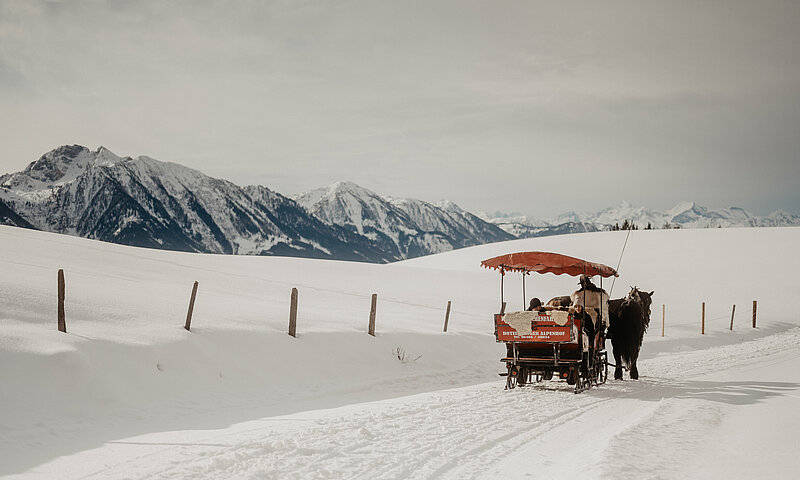 Eine Pferdekutschenfahrt inmitten einer wunderschönen Winterlandschaft.