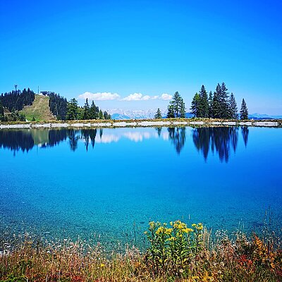 So ein wunderschönes Plätzchen Traumhaft #verwöhnhotelberghof #Österreich #Alpendorf #hotel #seeÖsterreich #berge #austria #traumhaft #wunderschön #wanderung #geisterberg #Natur ...