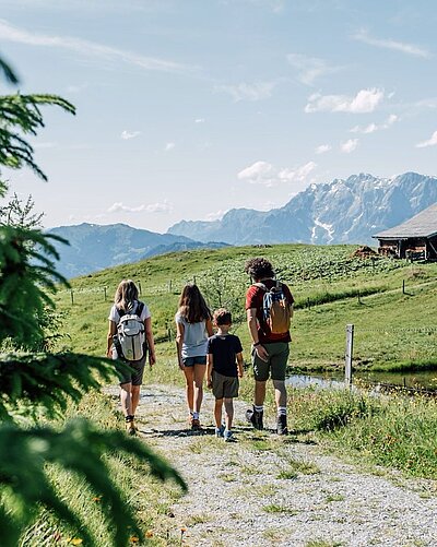 Sommer in den Bergen ️ frische Luft, endlose Weite, pure Freiheit. ______ Summer in the mountains ️ Fresh air, endless expanses, pure freedom.